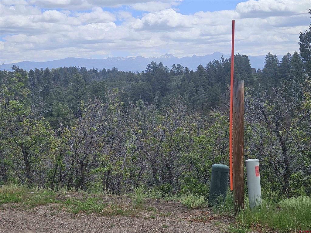 208 Peace Place Pagosa Springs CO 81147