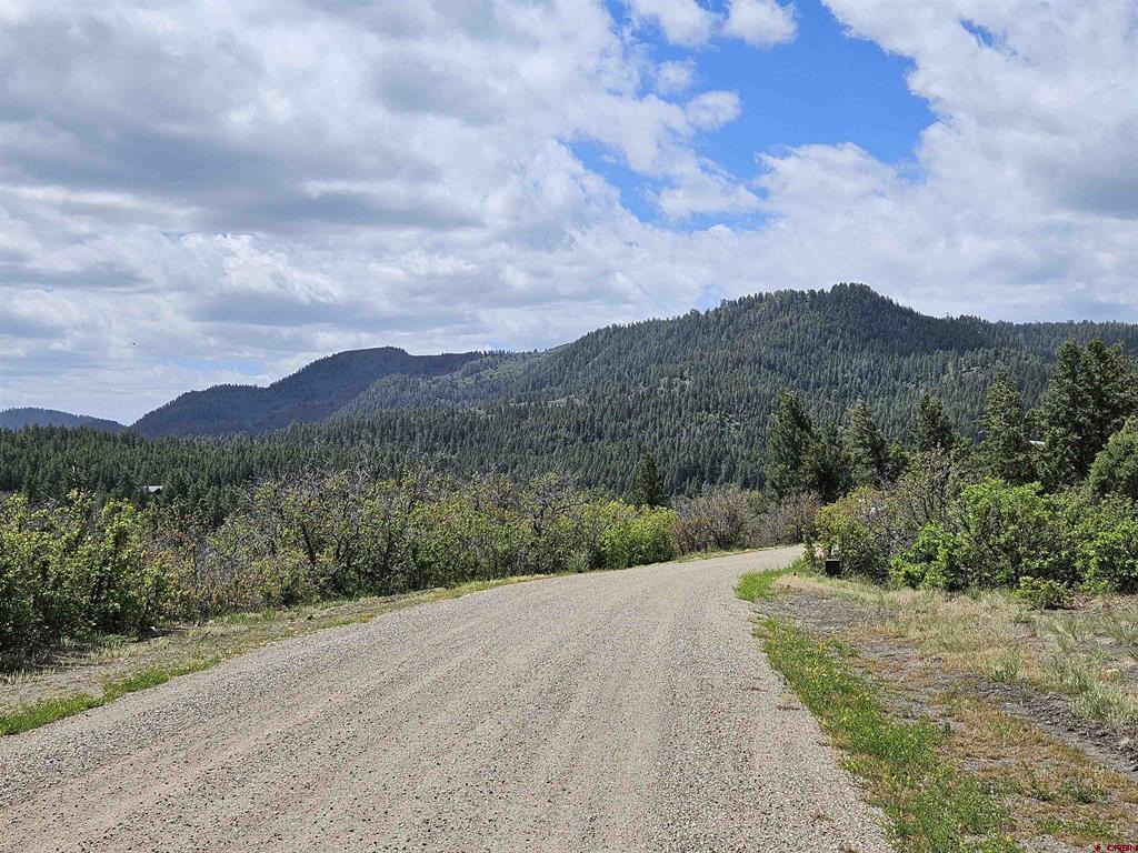 208 Peace Place Pagosa Springs CO 81147