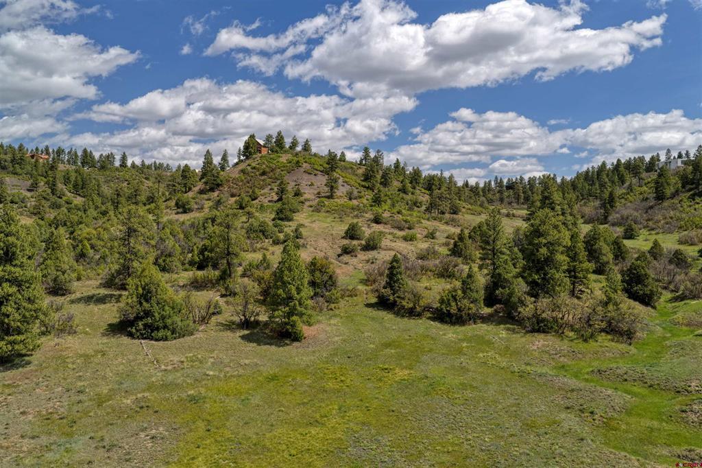 208 Peace Place Pagosa Springs CO 81147