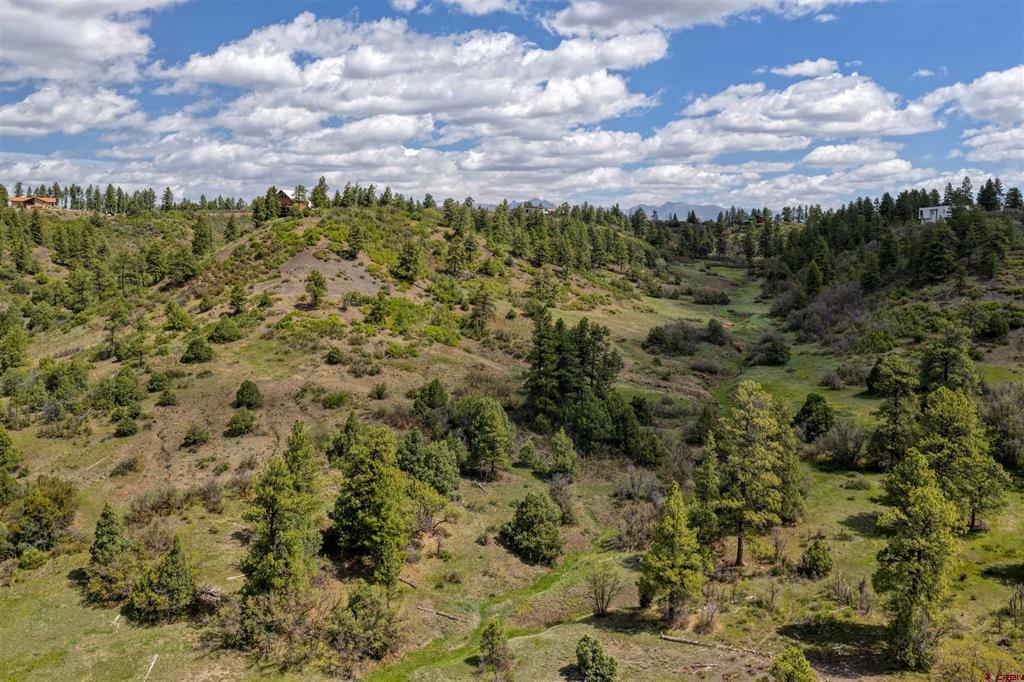 208 Peace Place Pagosa Springs CO 81147