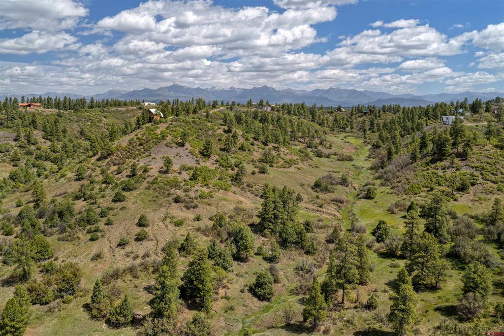 208 Peace Place Pagosa Springs CO 81147