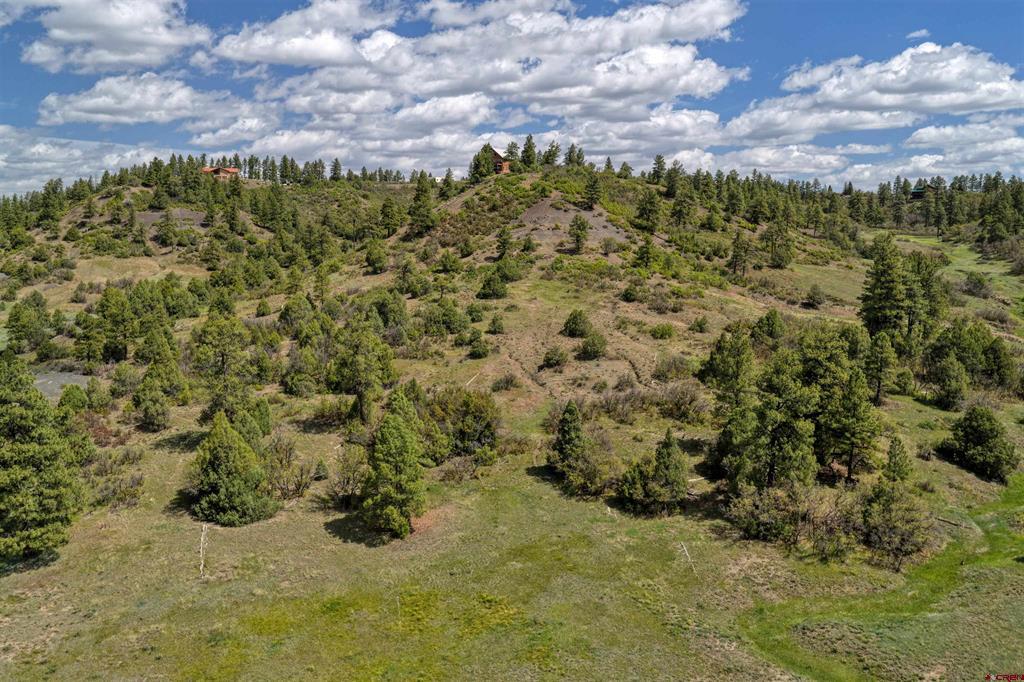 208 Peace Place Pagosa Springs CO 81147