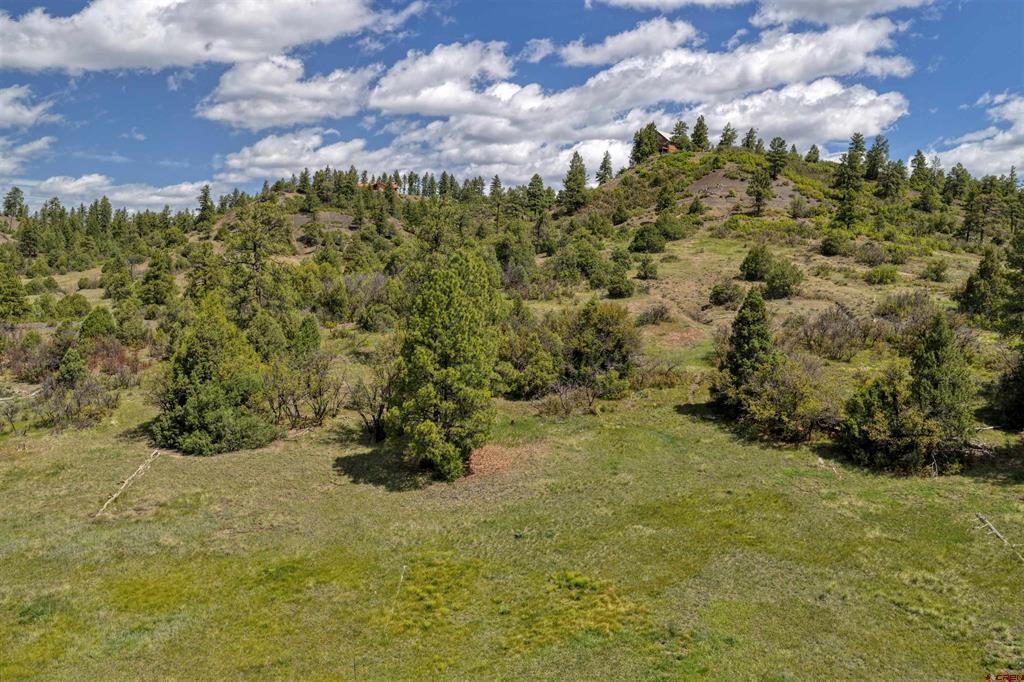 208 Peace Place Pagosa Springs CO 81147