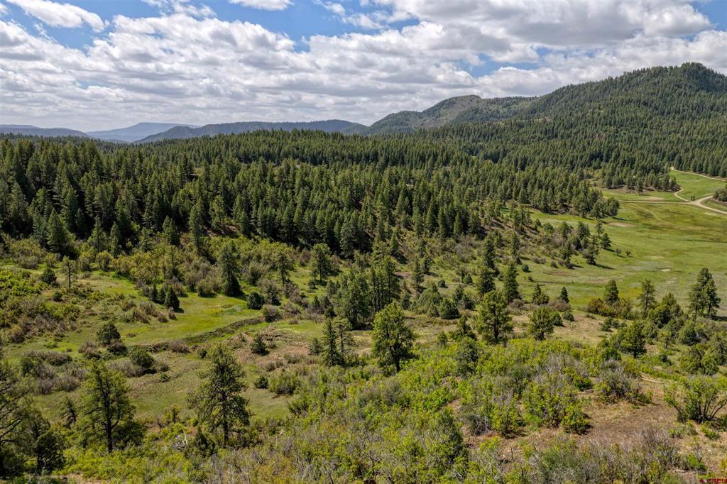 208 Peace Place Pagosa Springs CO 81147