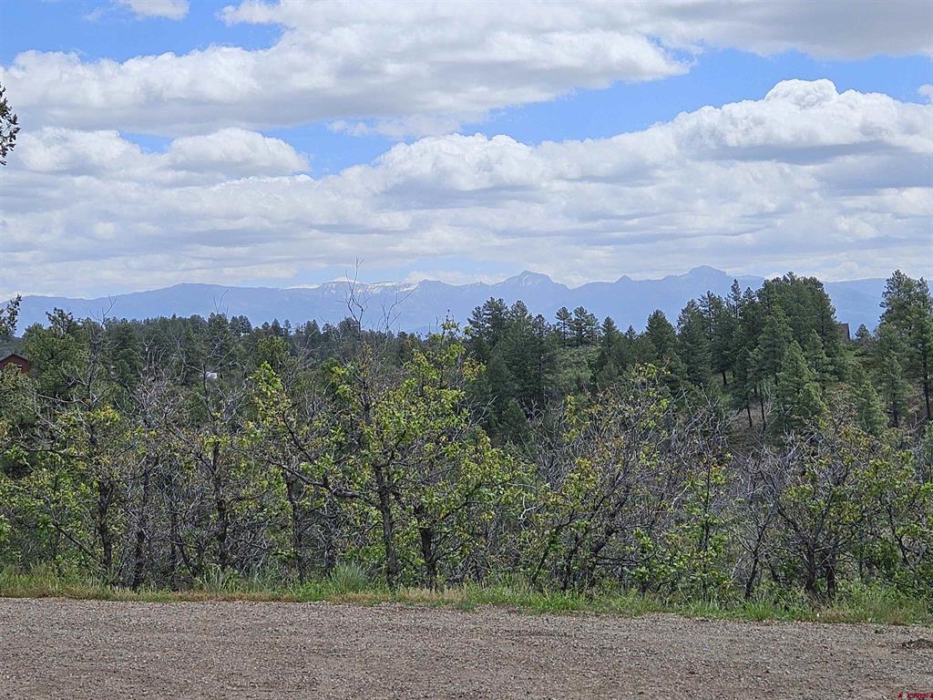 208 Peace Place Pagosa Springs CO 81147