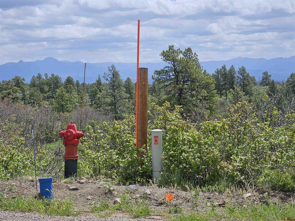 208 Peace Place Pagosa Springs CO 81147