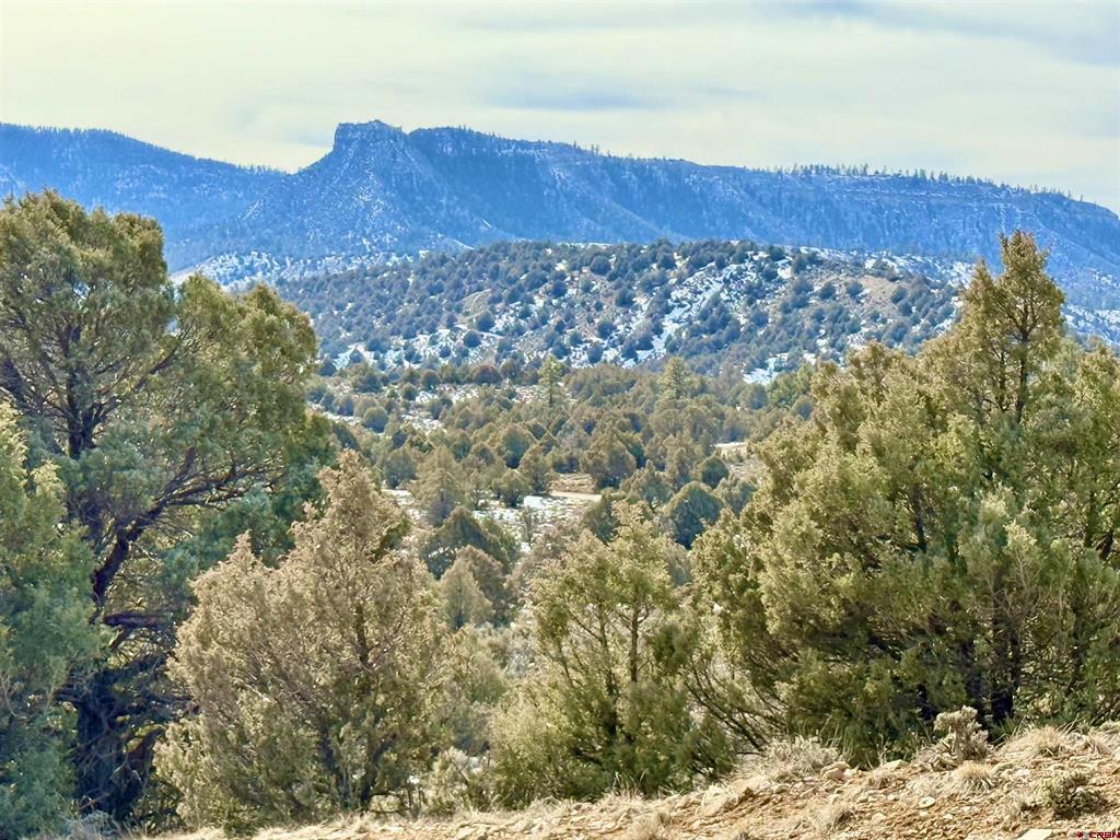 Lot 27 Riverview Drive Pagosa Springs CO 81147
