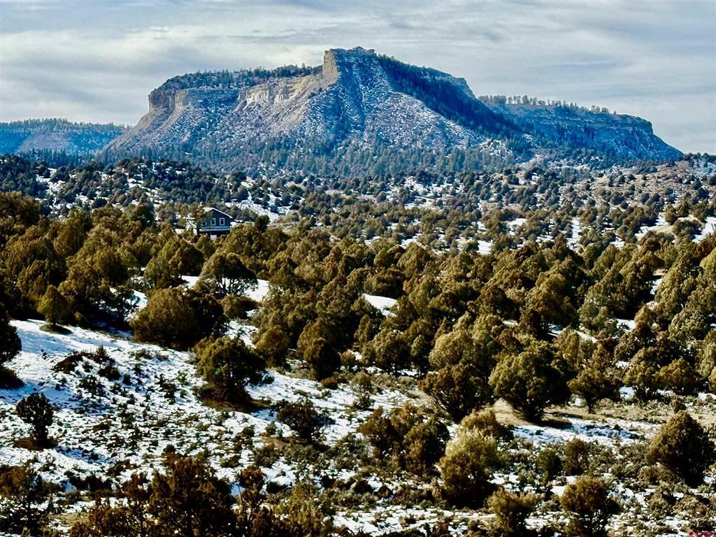 Lot 27 Riverview Drive Pagosa Springs CO 81147