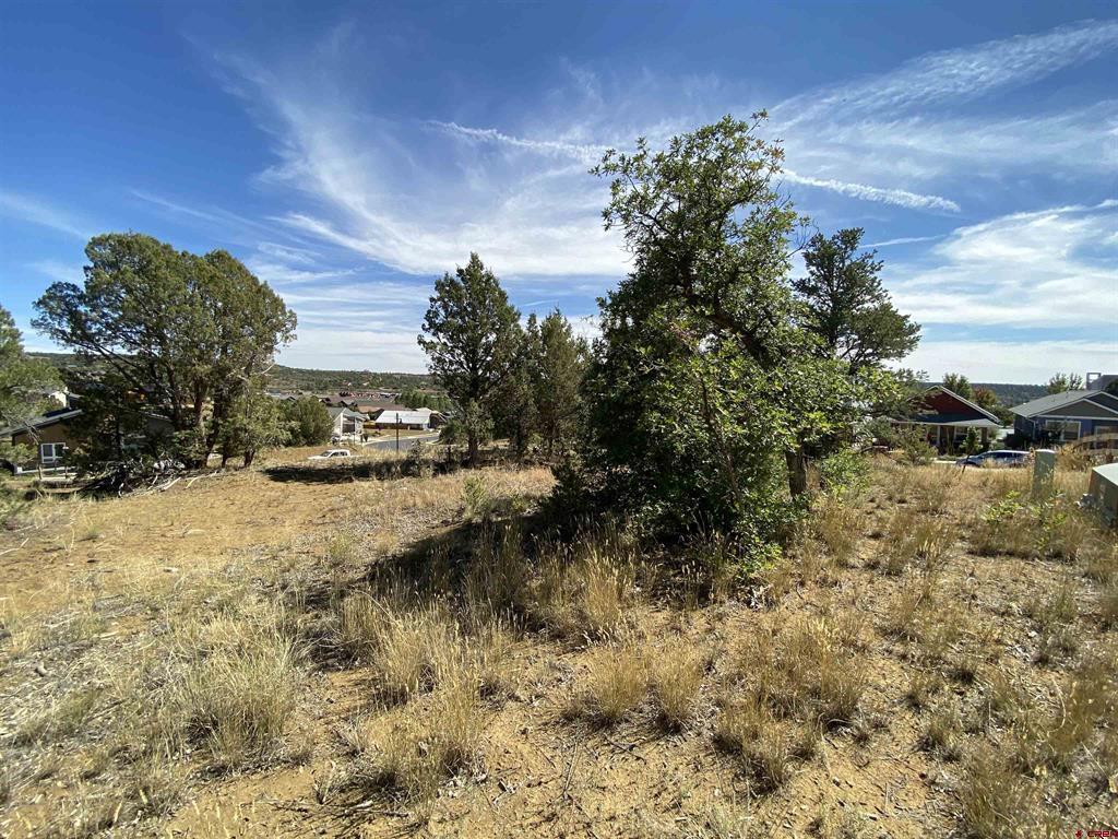 15 Salt Brush Street Durango CO 81301