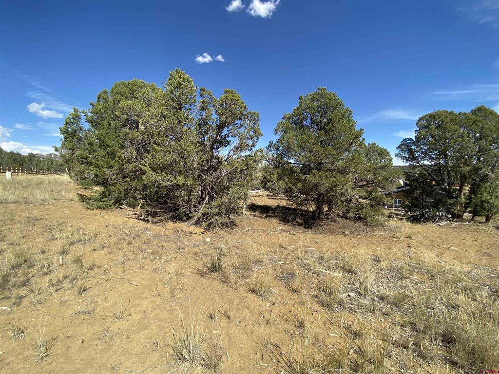 15 Salt Brush Street Durango CO 81301