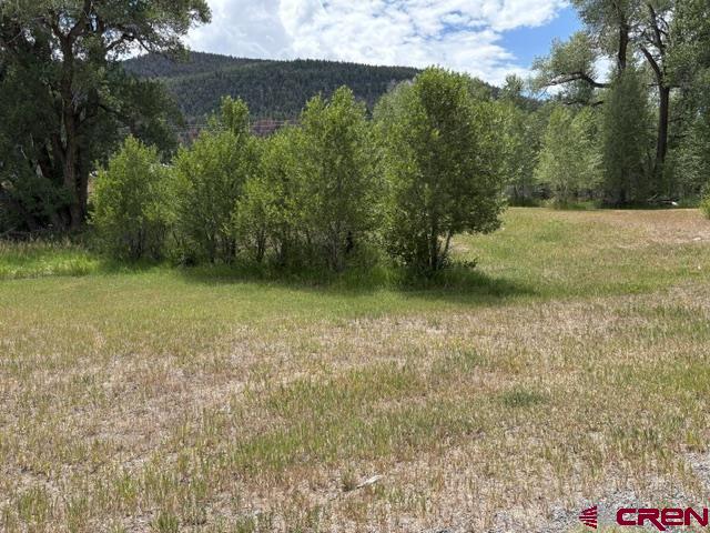 104 W Riverside Court South Fork CO 81154