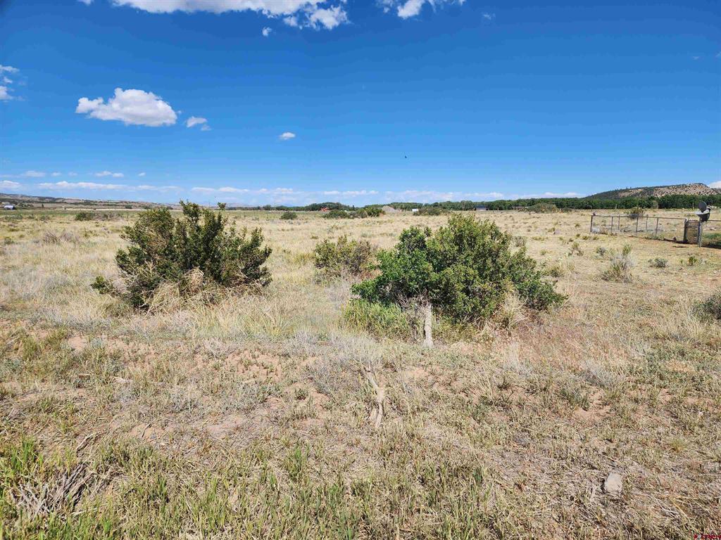 337 Pink Cloud Road South Fork CO 81154