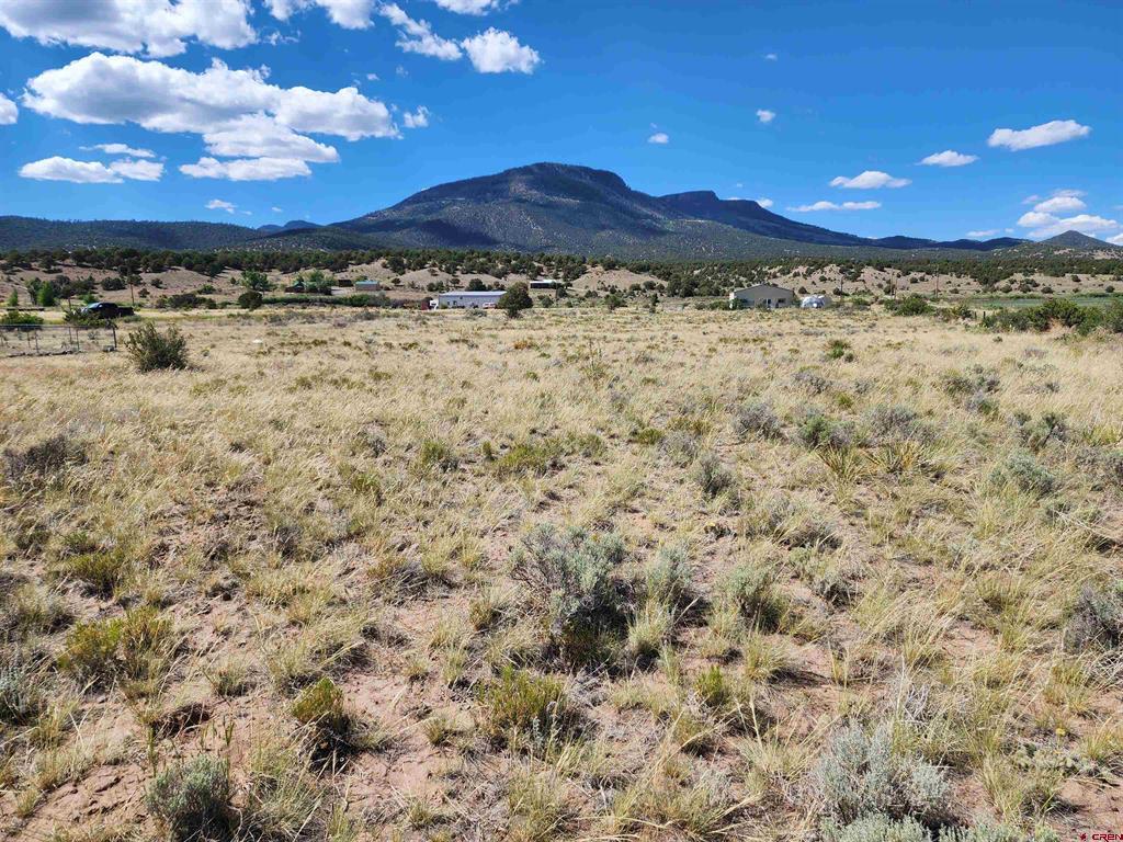 337 Pink Cloud Road South Fork CO 81154