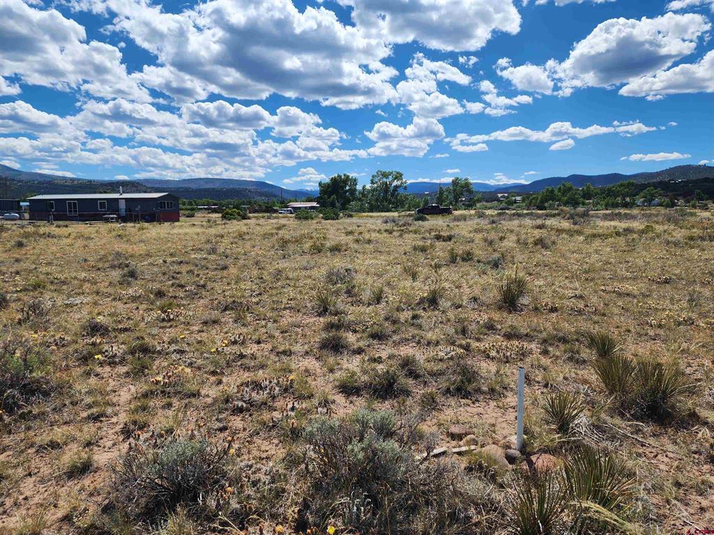 337 Pink Cloud Road South Fork CO 81154