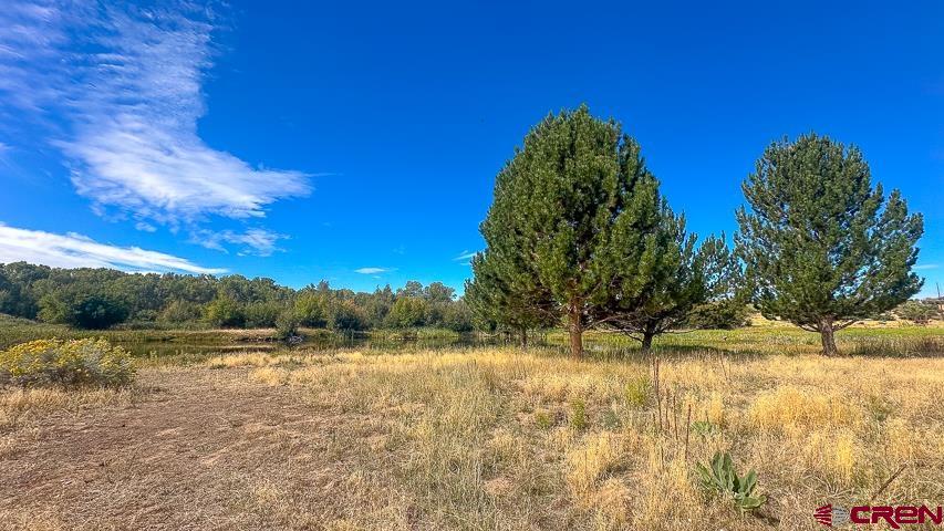 5947 County Road 516 Bayfield CO 81122