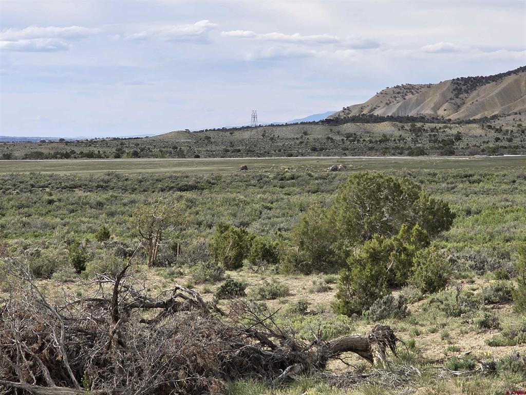 Tbd Lot 1 Buckhorn Road Montrose CO 81401