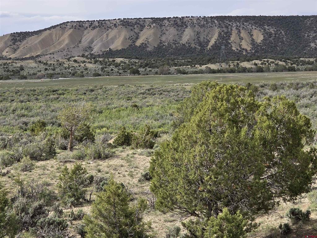 Tbd Lot 1 Buckhorn Road Montrose CO 81401