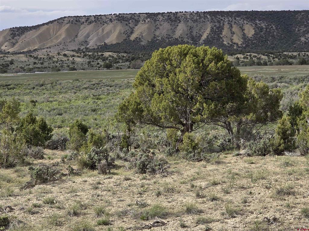 Tbd Lot 1 Buckhorn Road Montrose CO 81401