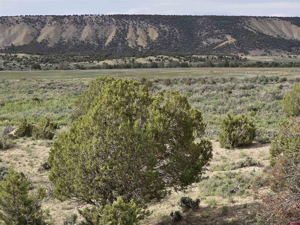 Tbd Lot 1 Buckhorn Road Montrose CO 81401
