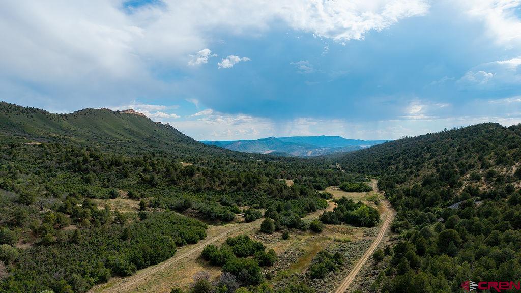 3279 County Road 237 Durango CO 81301