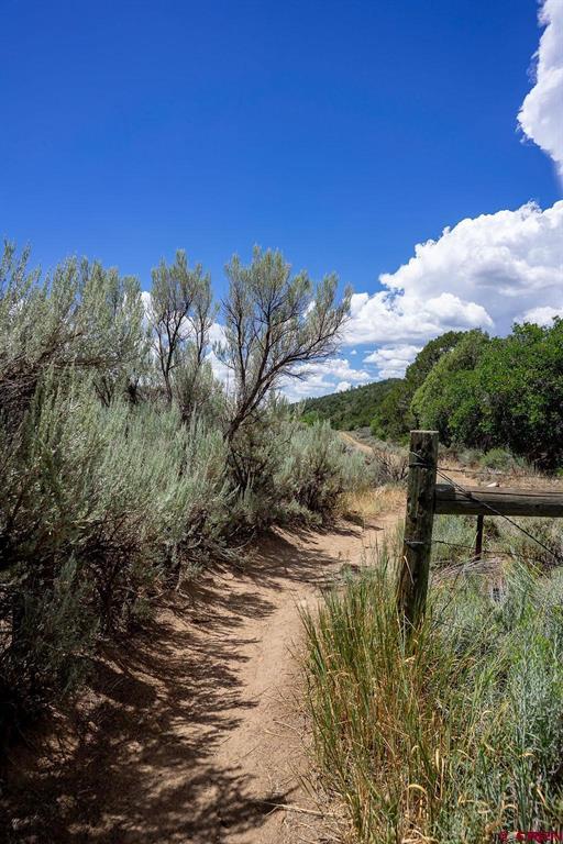 3279 County Road 237 Durango CO 81301