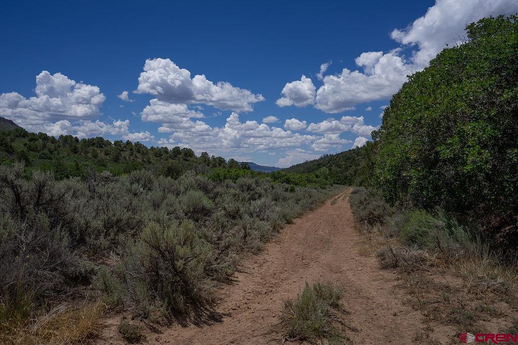 3279 County Road 237 Durango CO 81301