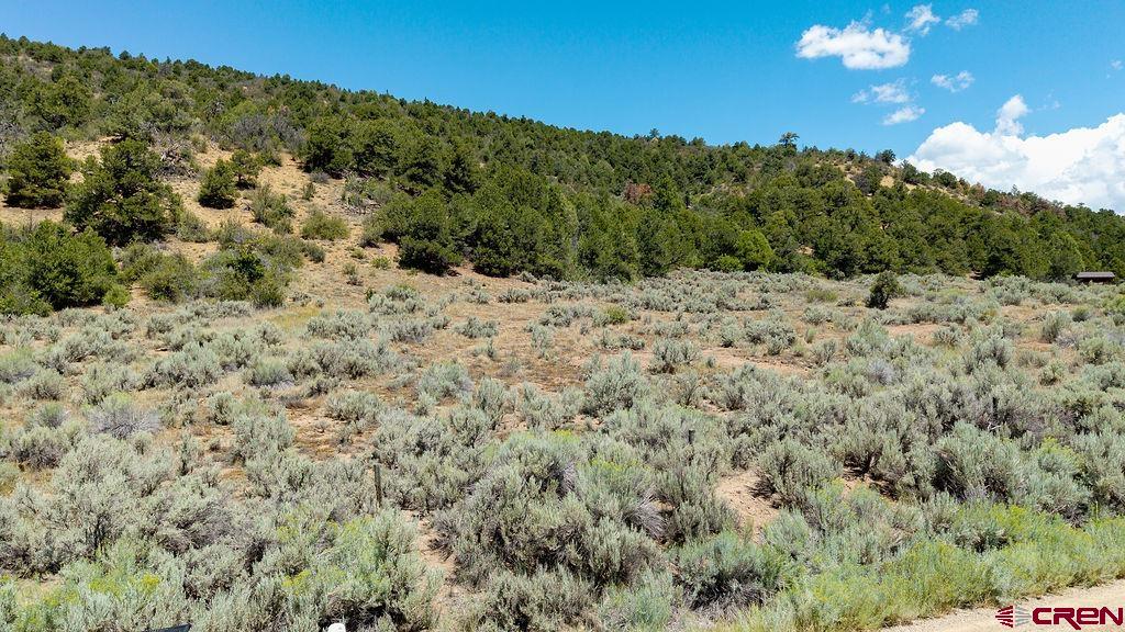 3279 County Road 237 Durango CO 81301