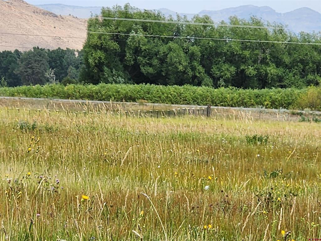 15934 Hwy 160 Highway Del Norte CO 81132
