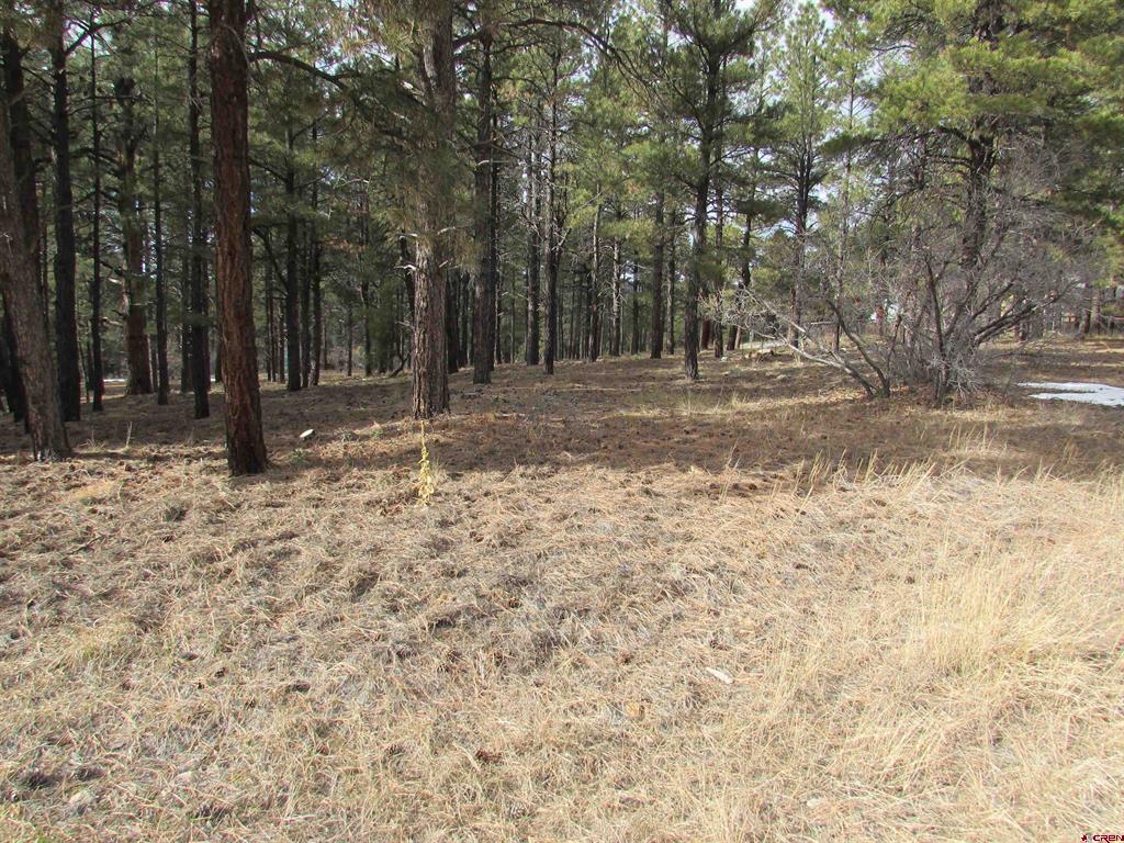 424 Antelope Avenue Pagosa Springs CO 81147