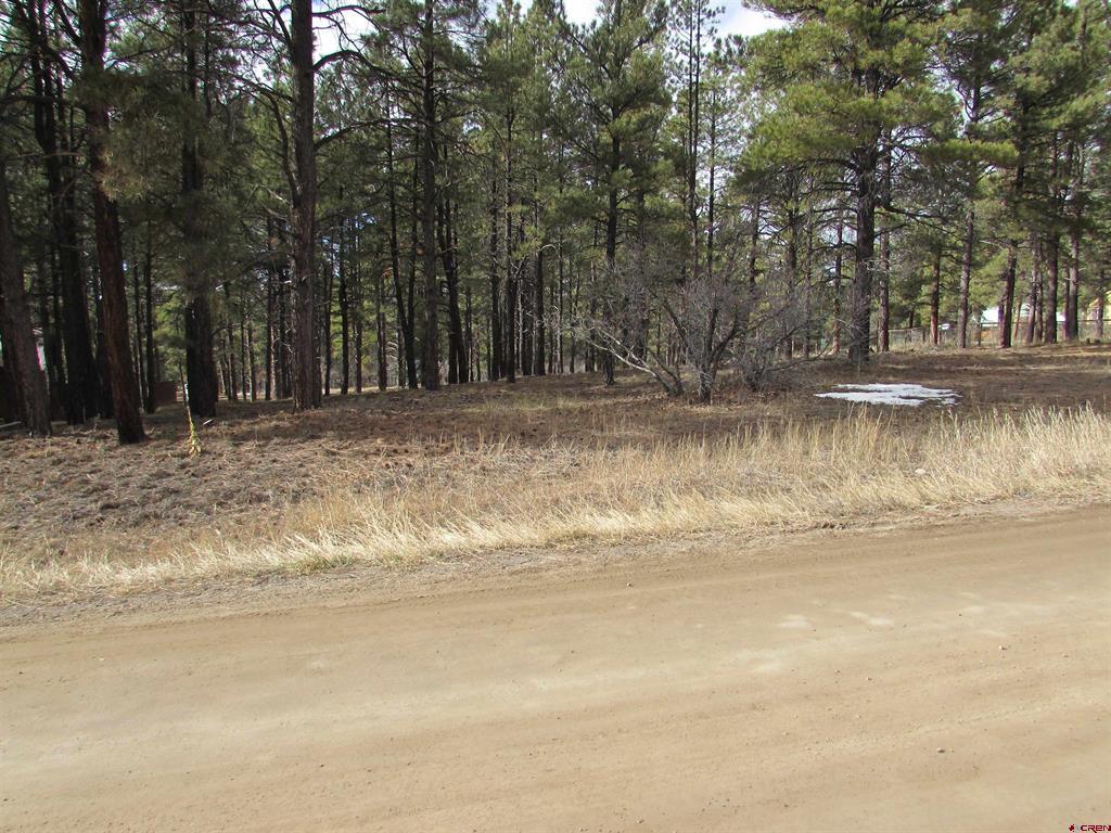 424 Antelope Avenue Pagosa Springs CO 81147
