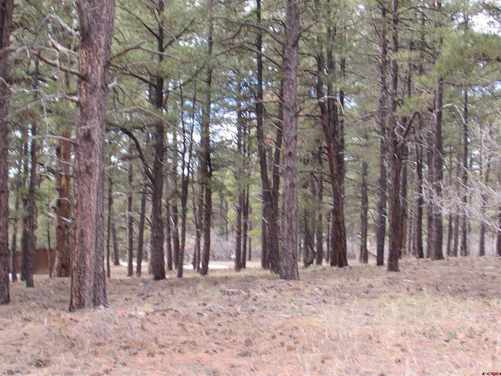 424 Antelope Avenue Pagosa Springs CO 81147