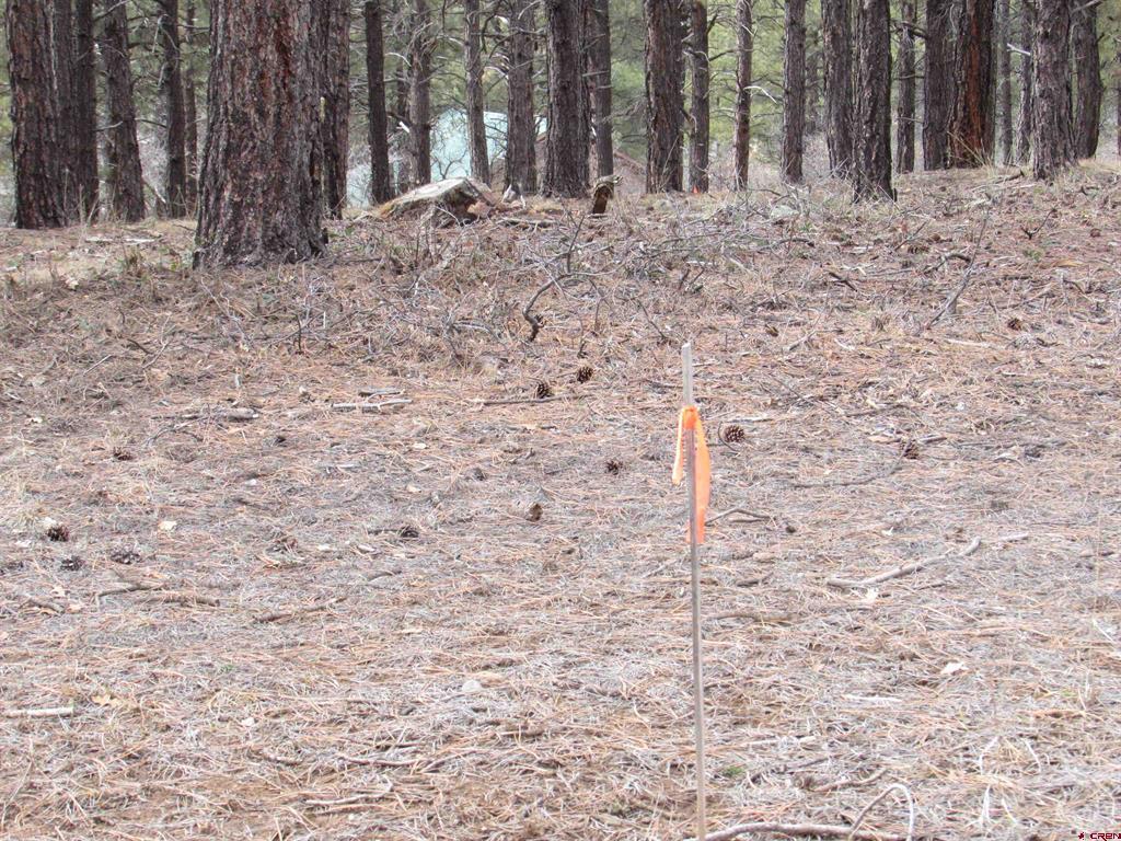424 Antelope Avenue Pagosa Springs CO 81147