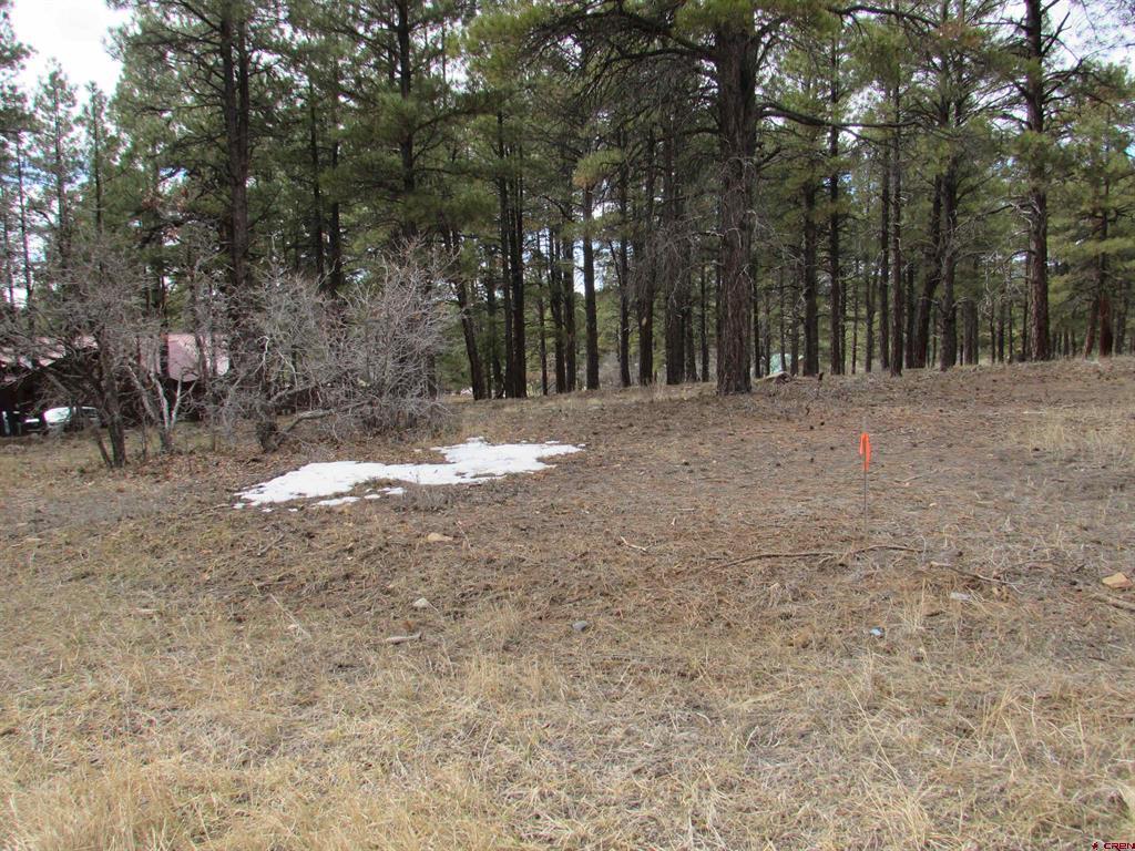 424 Antelope Avenue Pagosa Springs CO 81147