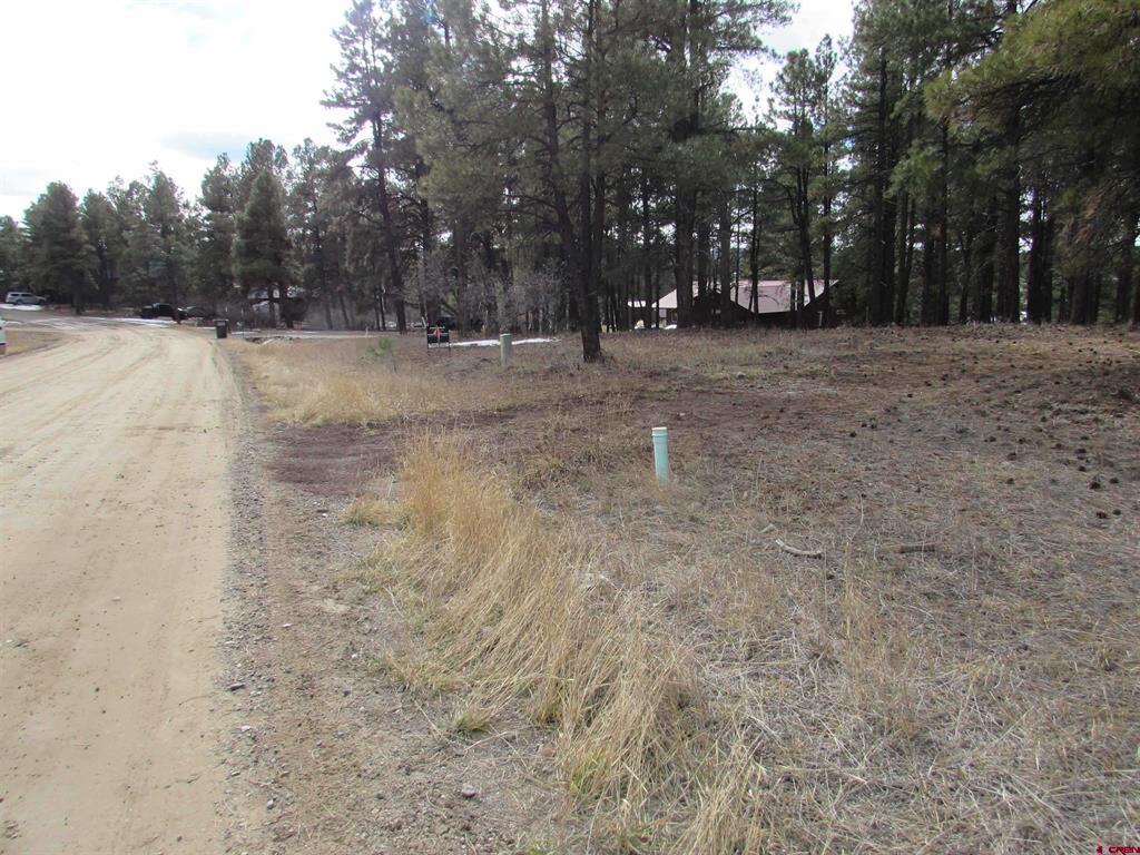 424 Antelope Avenue Pagosa Springs CO 81147