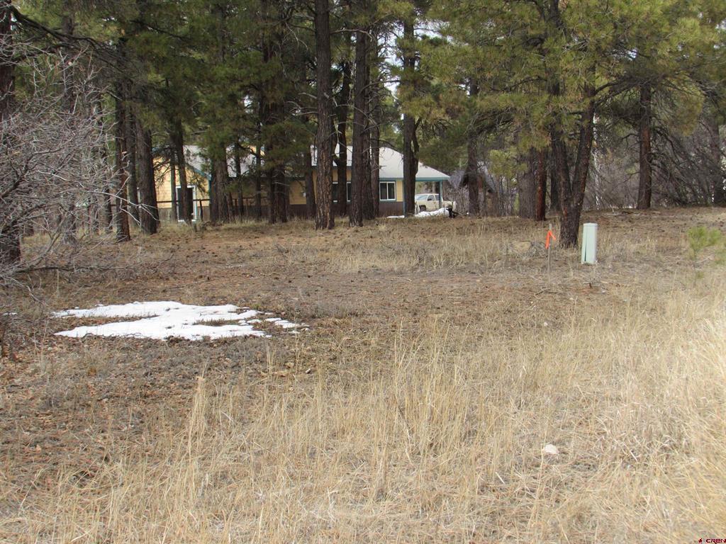 424 Antelope Avenue Pagosa Springs CO 81147