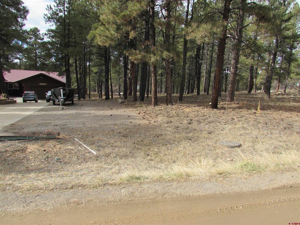 424 Antelope Avenue Pagosa Springs CO 81147