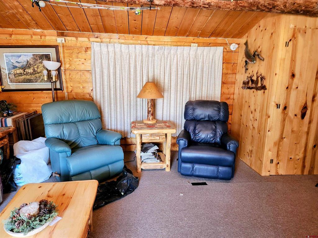 4650 Usfs 516 #7 Pearl Lakes Forest Creede CO 81130