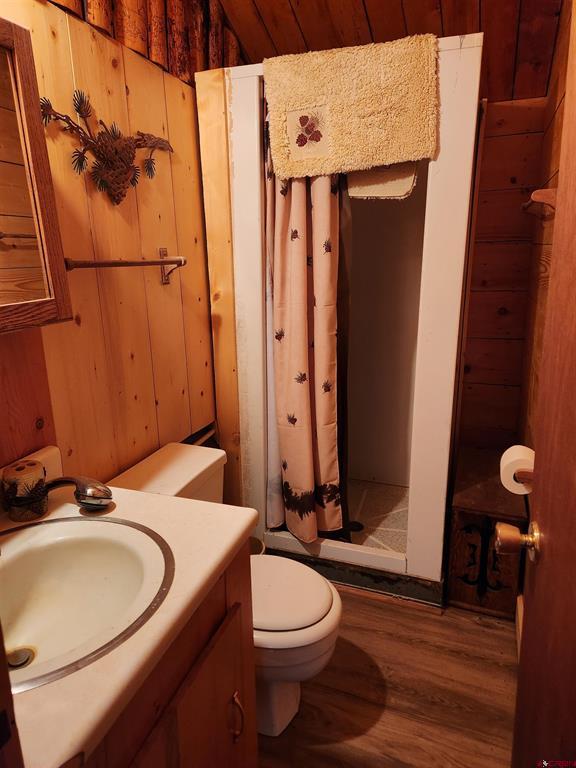 4650 Usfs 516 #7 Pearl Lakes Forest Creede CO 81130