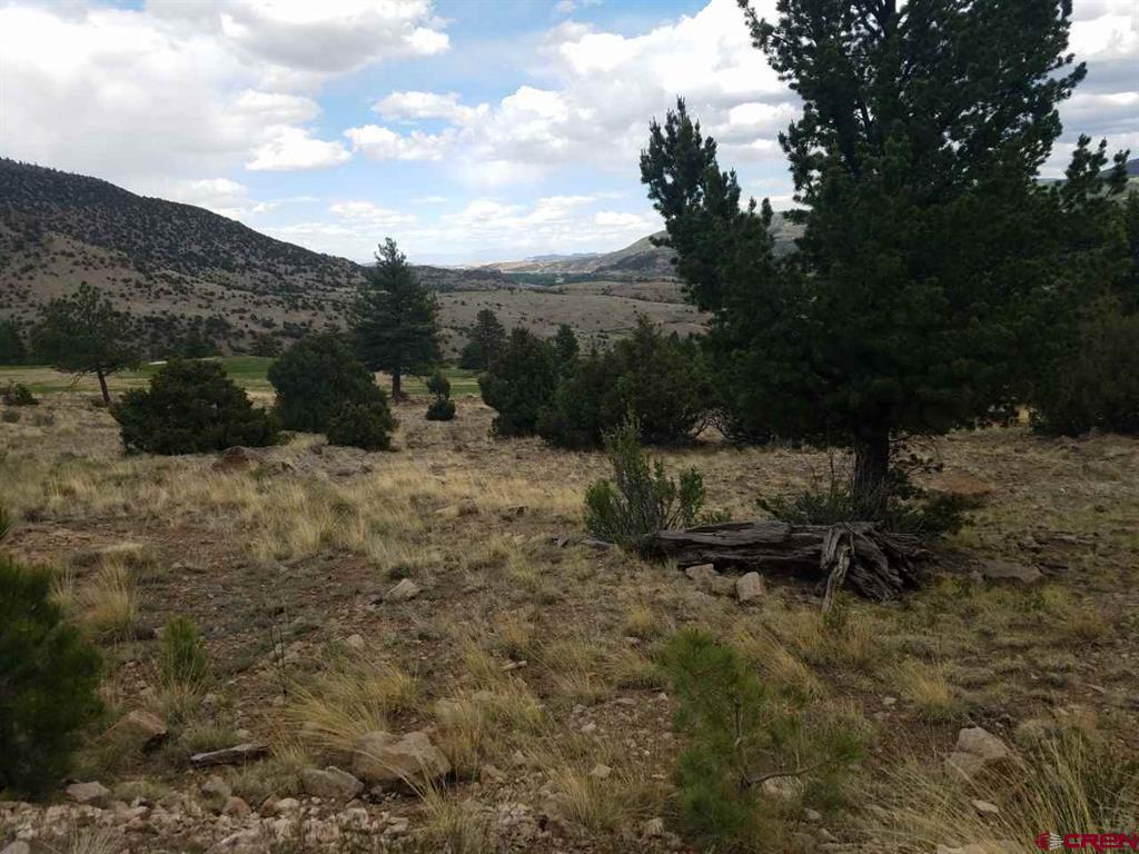 600 Blanca Vista Drive Lot 11 South Fork CO 81154