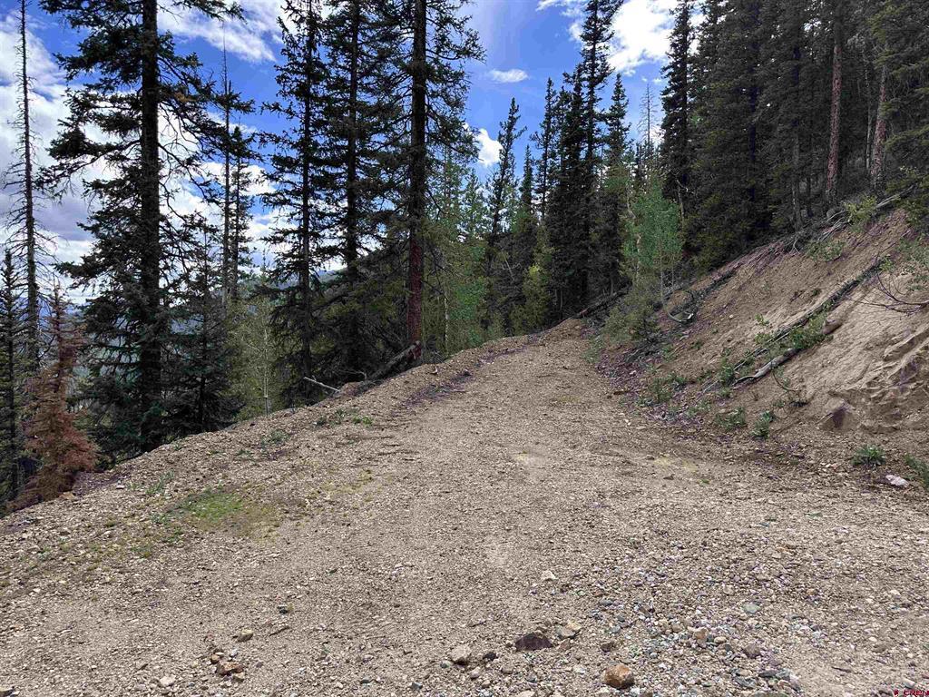 Anglo Saxon #4 Cr 61 Silverton CO 81433