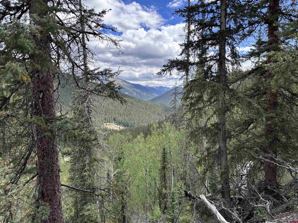 Anglo Saxon #4 Cr 61 Silverton CO 81433