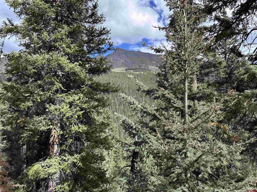 Anglo Saxon #4 Cr 61 Silverton CO 81433