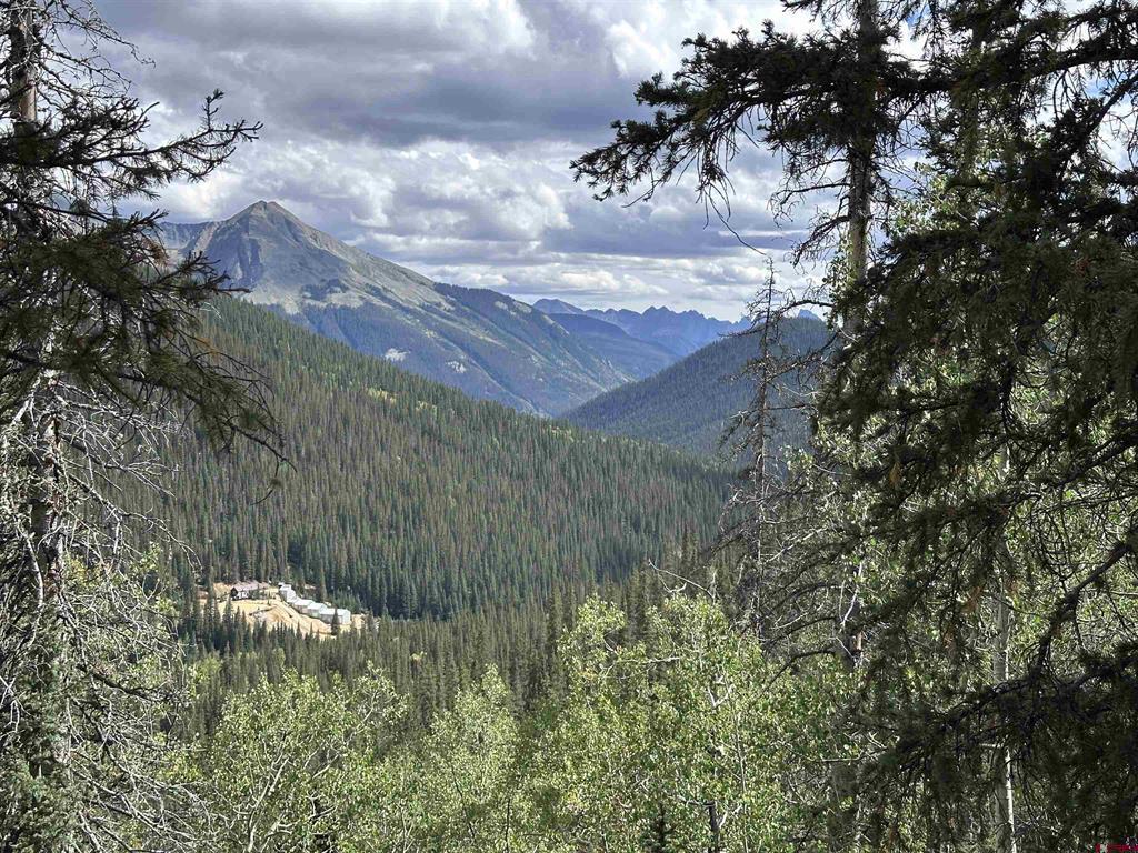 Anglo Saxon #4 Cr 61 Silverton CO 81433