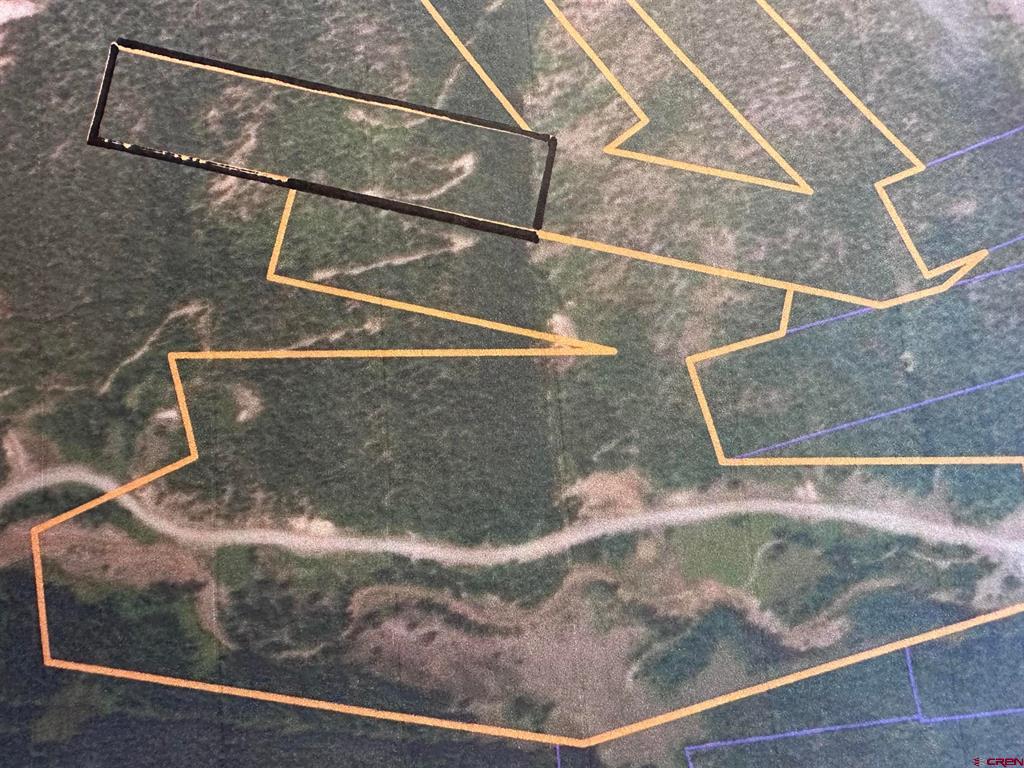 Anglo Saxon #4 Cr 61 Silverton CO 81433