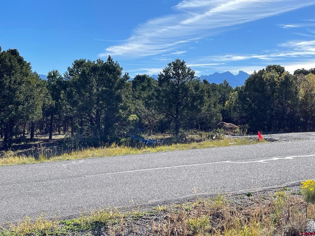 Lot 13 Ponderosa Drive Ridgway CO 81432