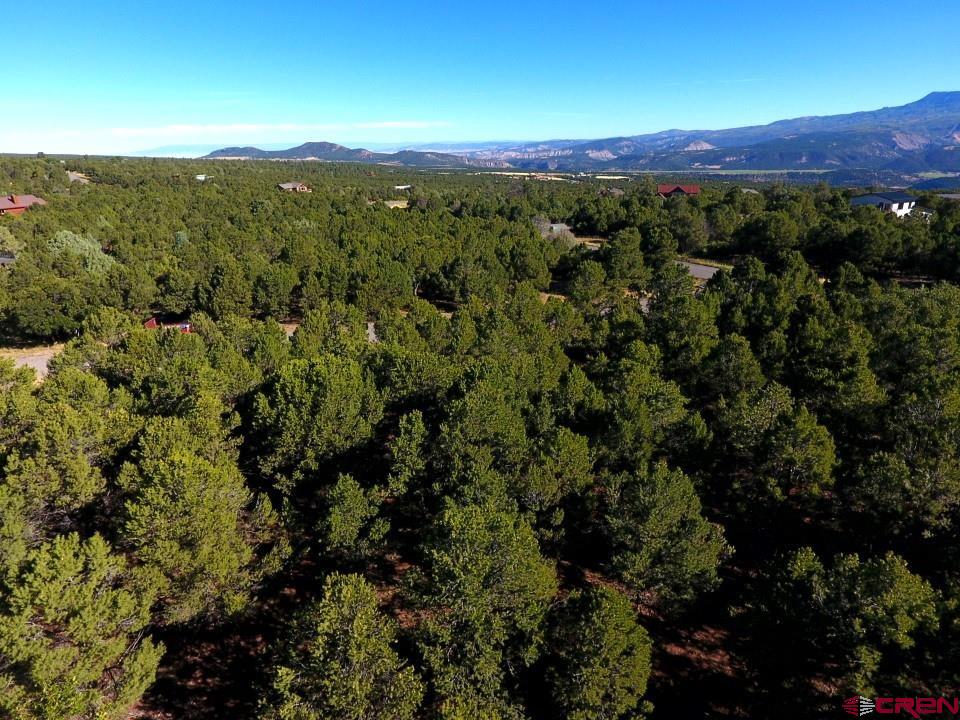 Lot 13 Ponderosa Drive Ridgway CO 81432