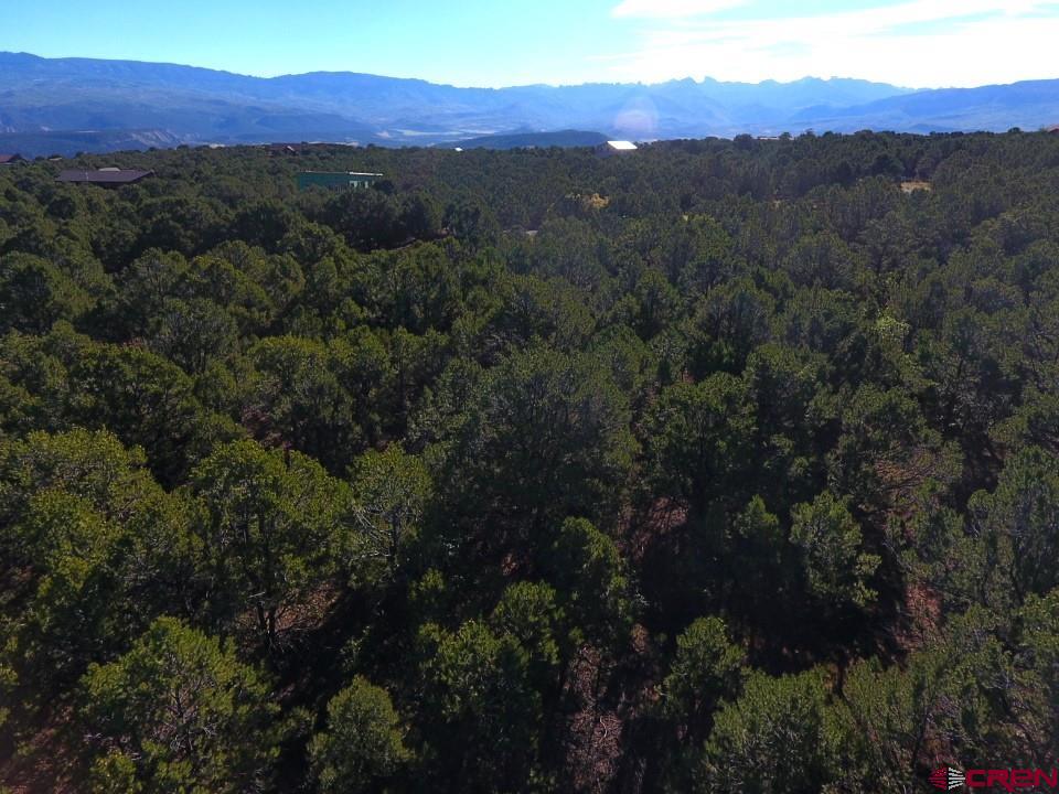 Lot 13 Ponderosa Drive Ridgway CO 81432