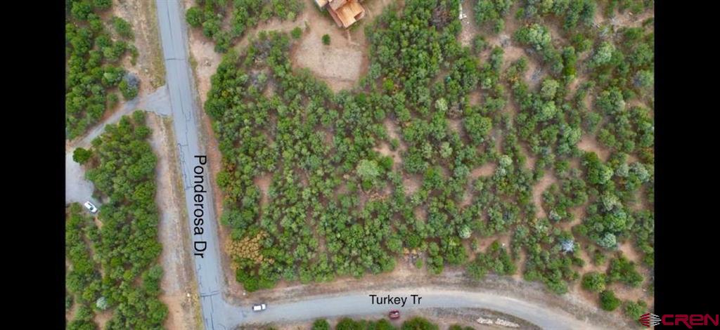 Lot 13 Ponderosa Drive Ridgway CO 81432
