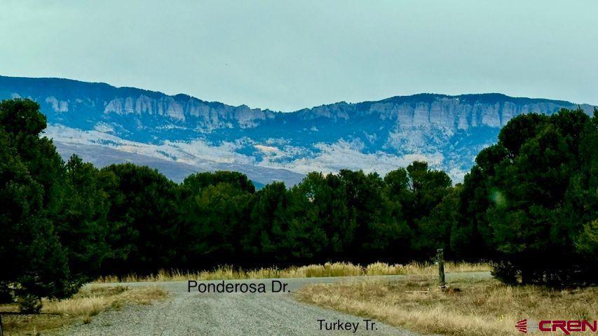 Lot 13 Ponderosa Drive Ridgway CO 81432
