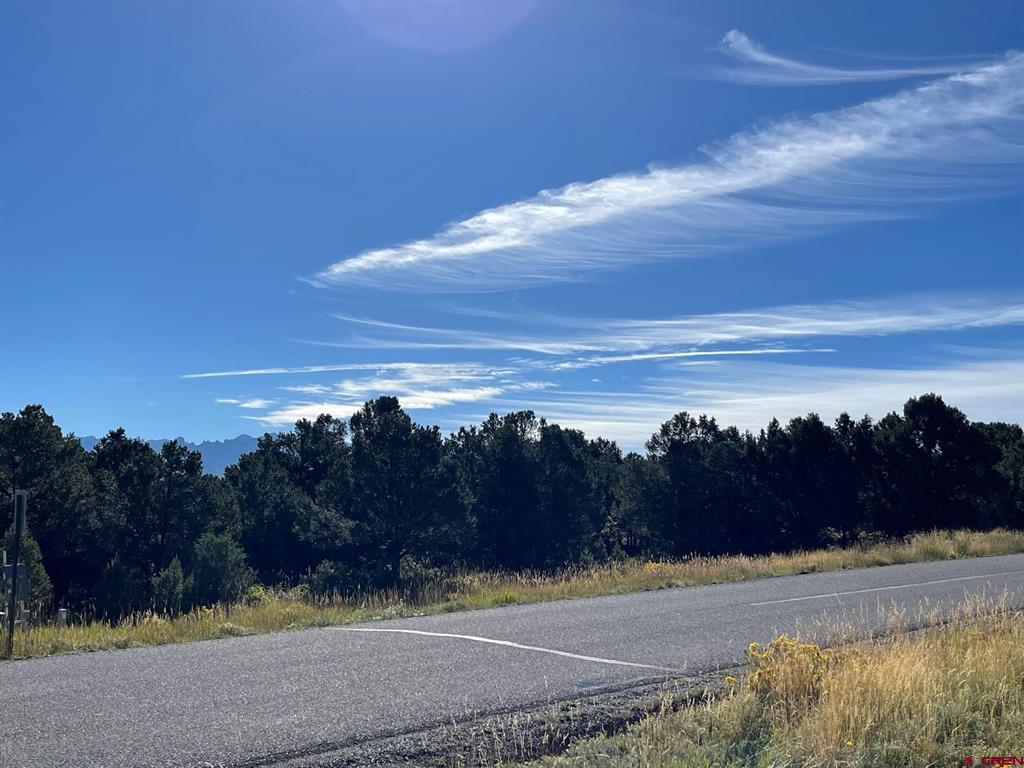 Lot 13 Ponderosa Drive Ridgway CO 81432